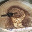 holzis