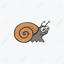 snailshell